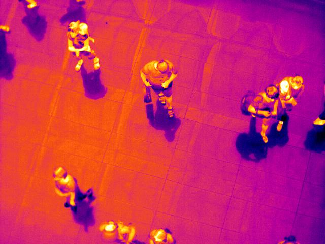 Infrared thermal camera security